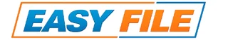Easy File India logo