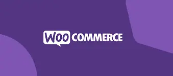Ecommerce Website Design Company in Udaipur