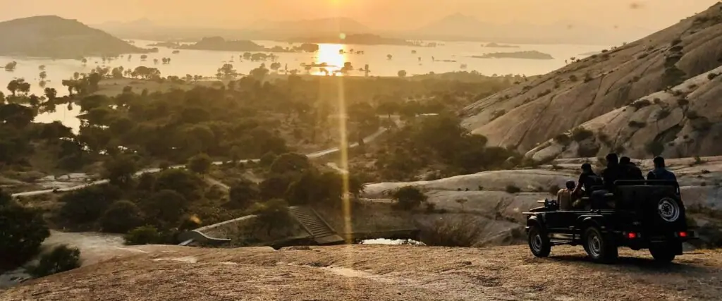 Leopard Safari in Jawai Rajasthan