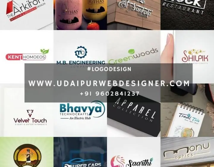 Logo Designer in Udaipur