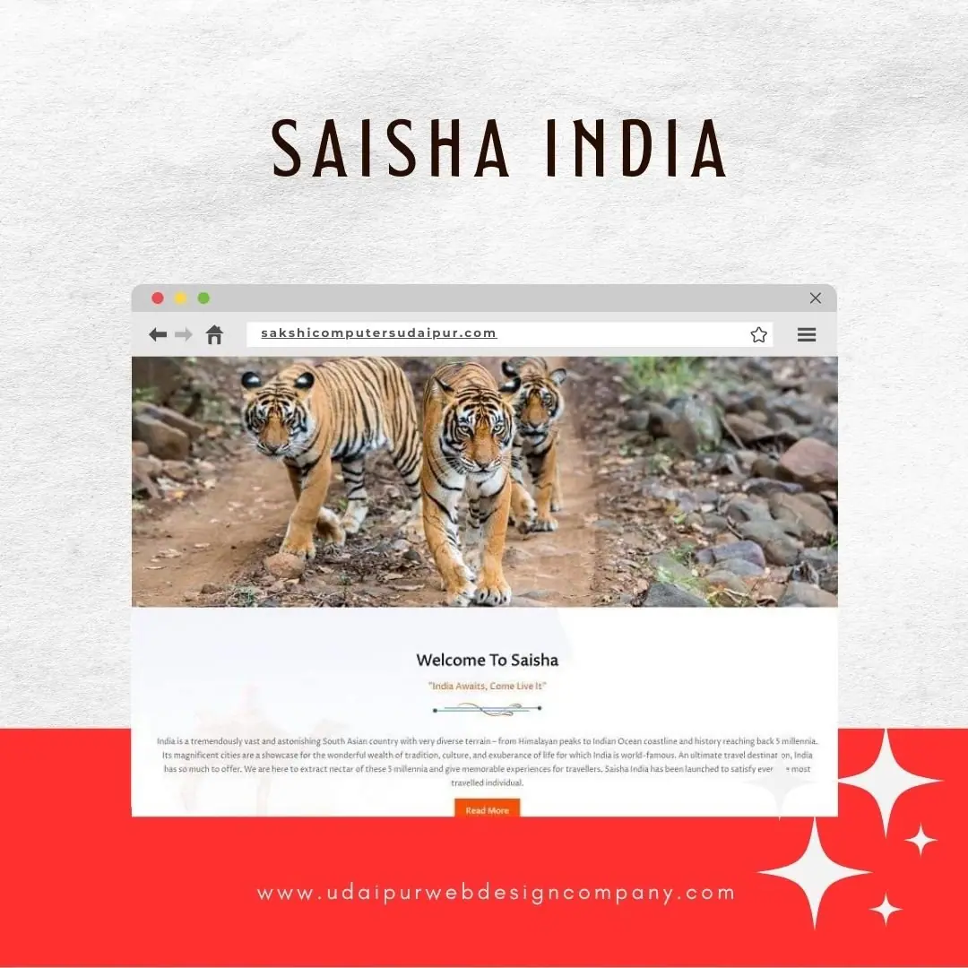 Travel Company Website Design Company
